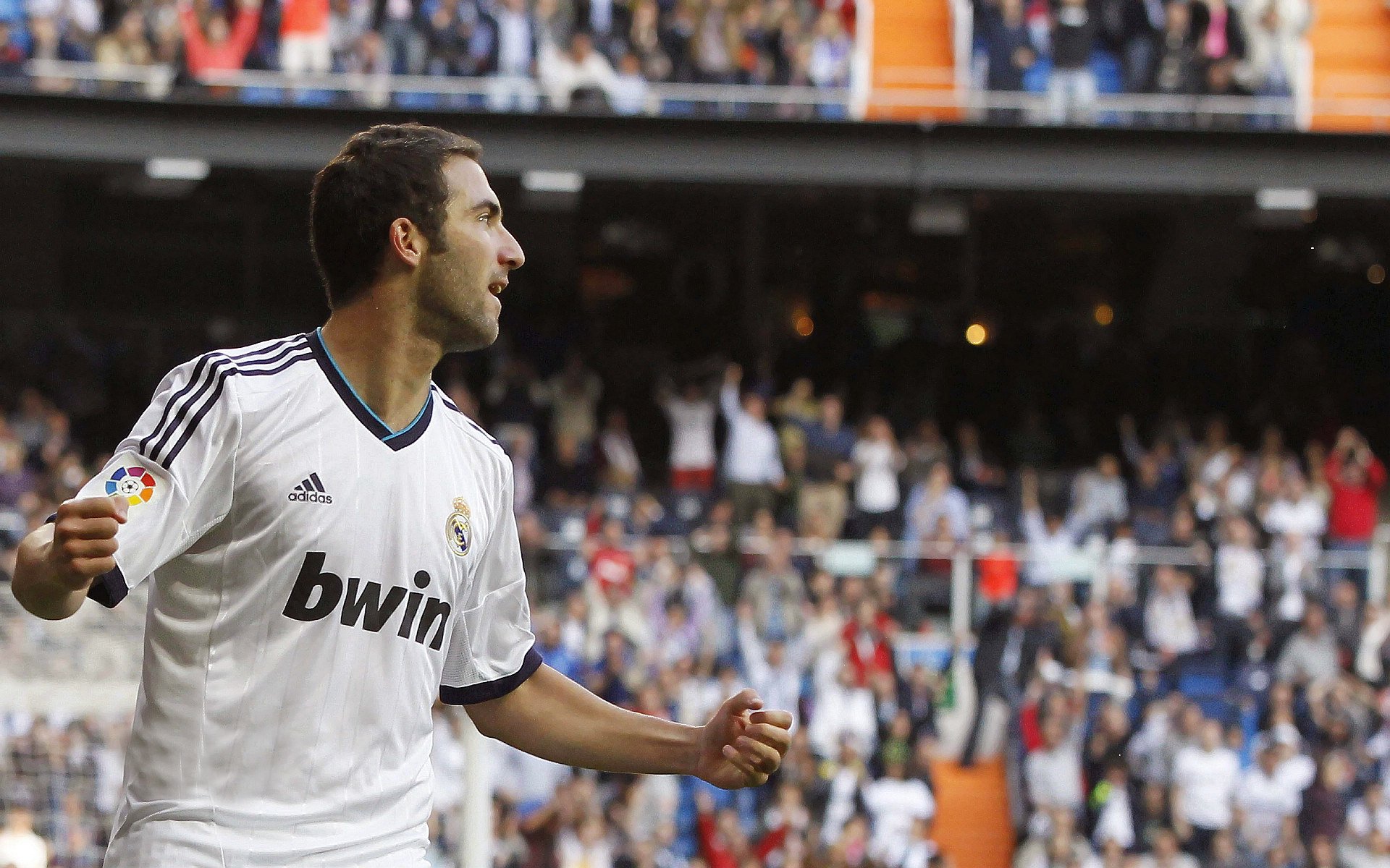 世界杯非洲区预选赛 北非双雄联袂发威