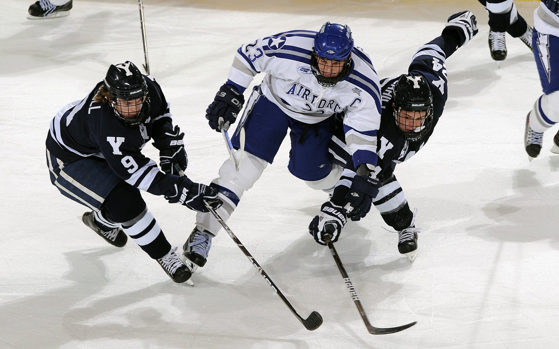 体育赛事观众增长趋势